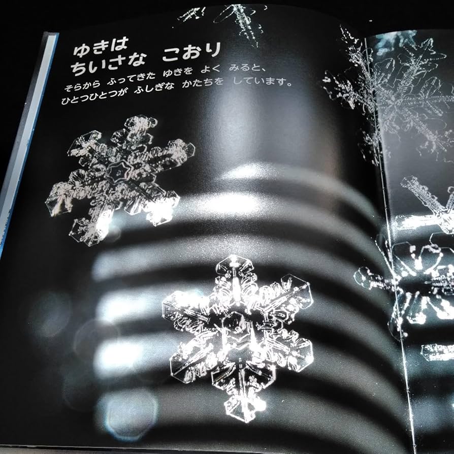 Amazon.co.jp: f-363 しぜんキンダーブック2月号 フレーベル館※6